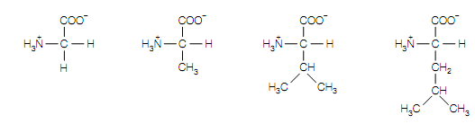2396_hydrophobic amino acids.png
